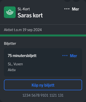 SL mobile interface designed with the system